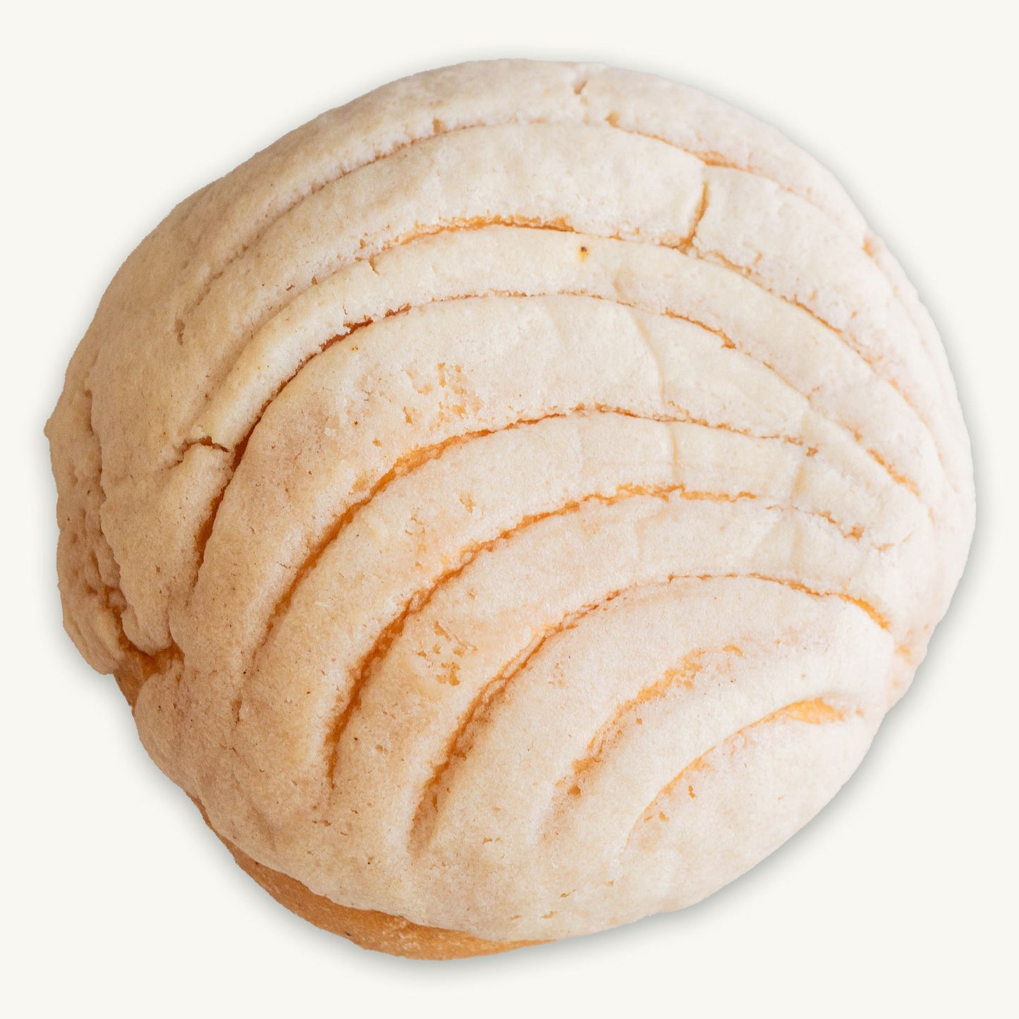Mexican Sweet Concha Bread 2.75oz