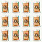 North Fork Sweet Potato Potato Chips 6 oz — 12-pack