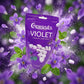 Choward's Violet Flavored Candy Mints 4oz — creative scene